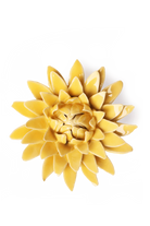 burnt yellow strawflower ceramic wall flower — English Garden Collection — handmade by Chive Studio Toronto