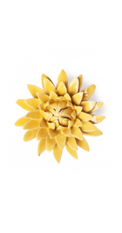 Burnt Yellow - Strawflower - handmade by Chive Studio Toronto