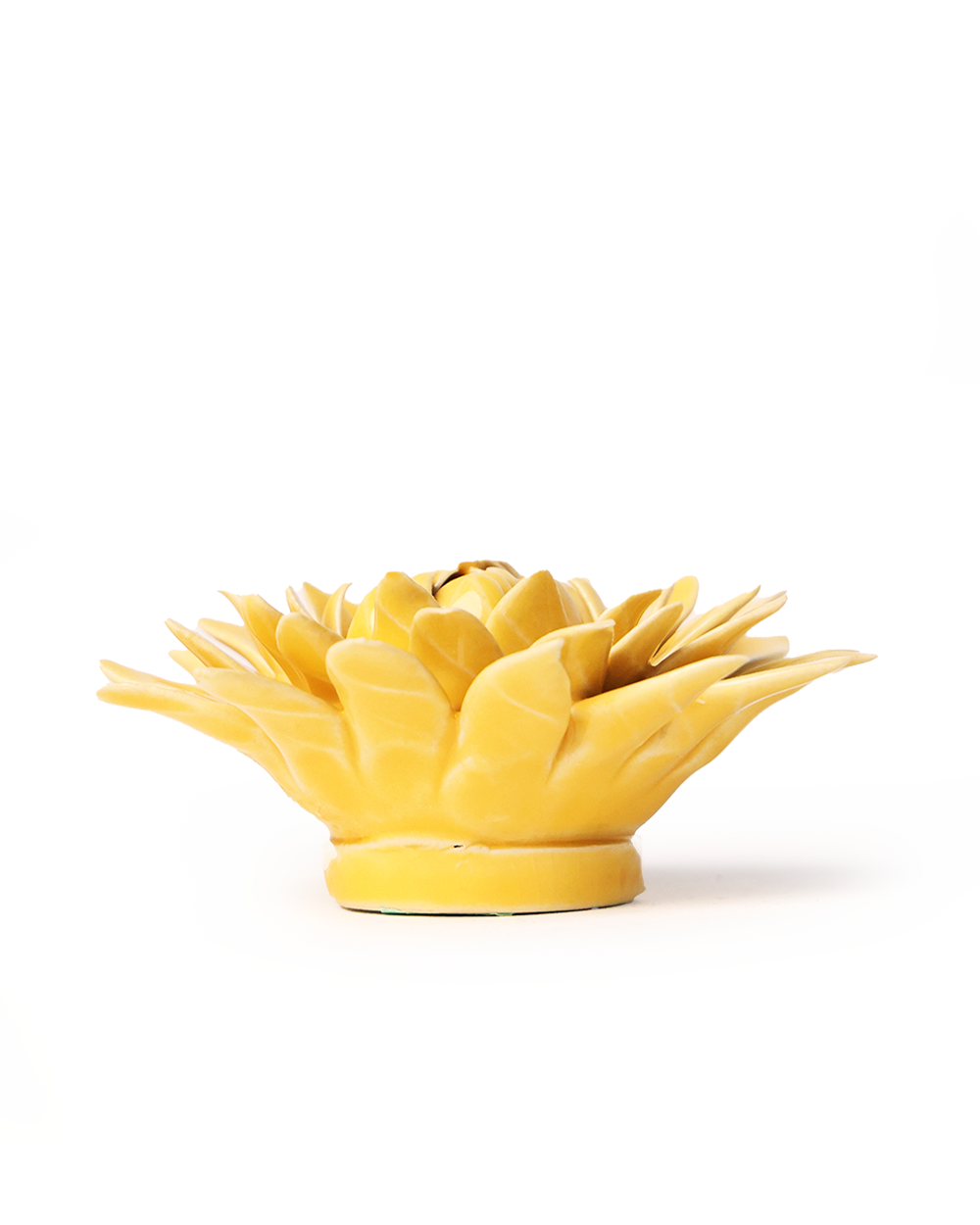 burnt yellow strawflower ceramic wall flower — English Garden Collection — handmade by Chive Studio Toronto