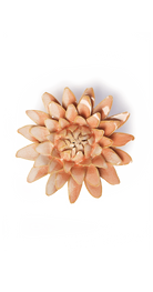 Peach Pink - Strawflower - handmade by Chive Studio Toronto