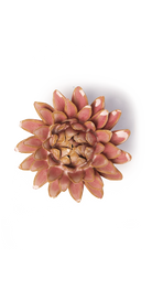 Rose Quartz Pink Strawflower ceramic wall flower, full bloom view, Chive Ceramics Studio