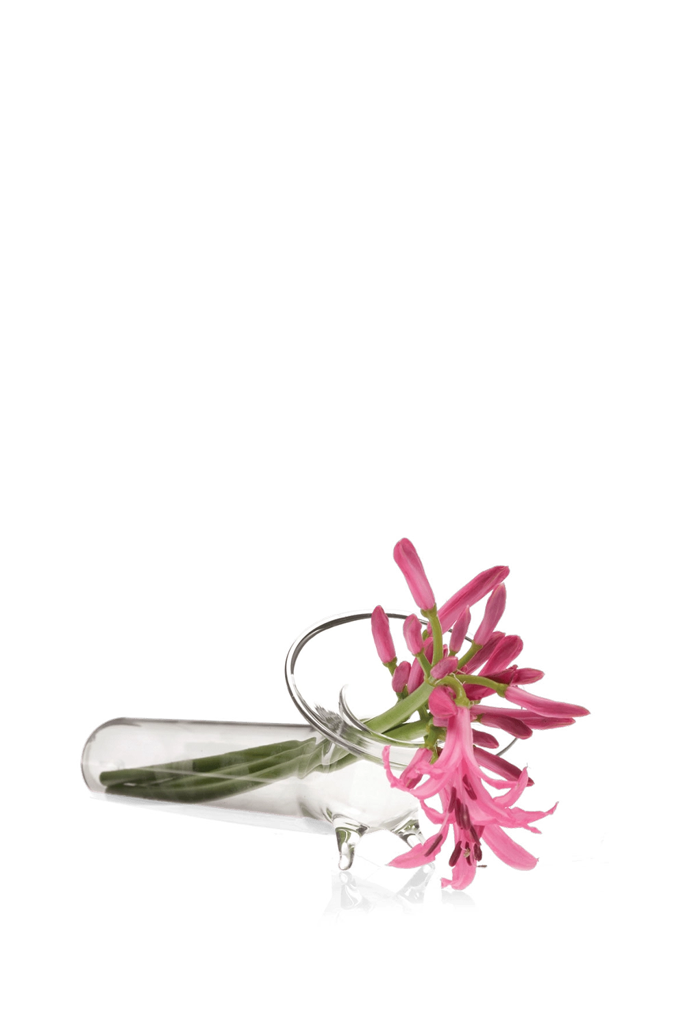 Clear Glass Modern Flower Vase - Test Tube - handmade by Chive Studio Toronto