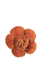 Burnt Orange Poppy Ceramic Wall Flower — Birth Flower Collection — handmade by Chive Studio Toronto