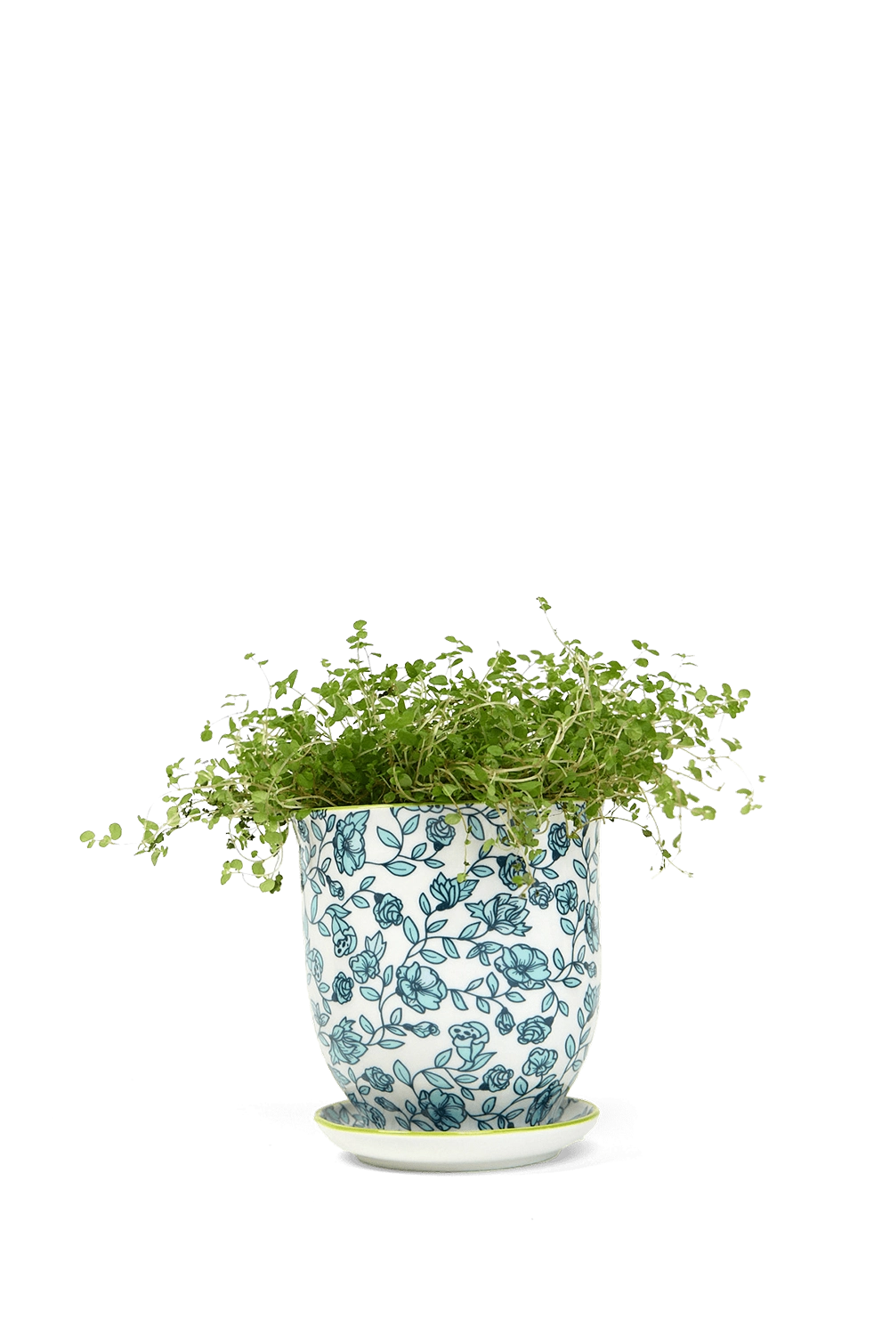 Blue Flowers Porcelain Pot And Saucer Set With Drainage - Liberte - handmade by Chive Studio Toronto