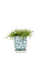 Blue Flowers Porcelain Pot And Saucer Set With Drainage - Liberte - handmade by Chive Studio Toronto