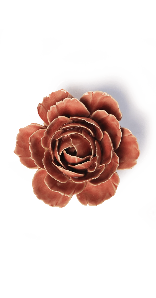 Champagne Pink - English Rose - handmade by Chive Studio Toronto