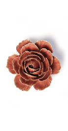 Champagne Pink - English Rose - handmade by Chive Studio Toronto