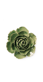 Jade Green English Rose ceramic wall flower — English Garden Collection — Chive Ceramics Studio