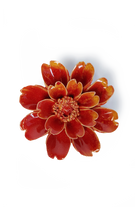 Orange Yellow Daisy - April Birth Flower - handmade by Chive Studio Toronto