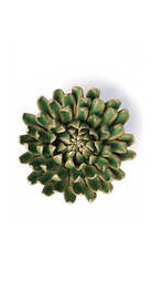 Jungle Green Pompom Mum ceramic wall flower — English Garden Collection — Chive Ceramics Studio