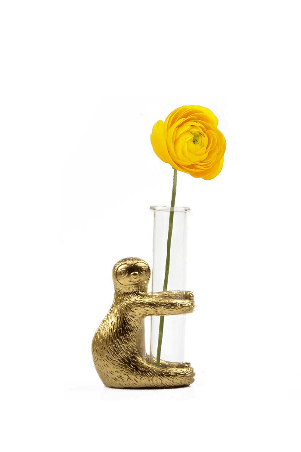 Gold Metal & Glass Propagator - Sloth - handmade by Chive Studio Toronto