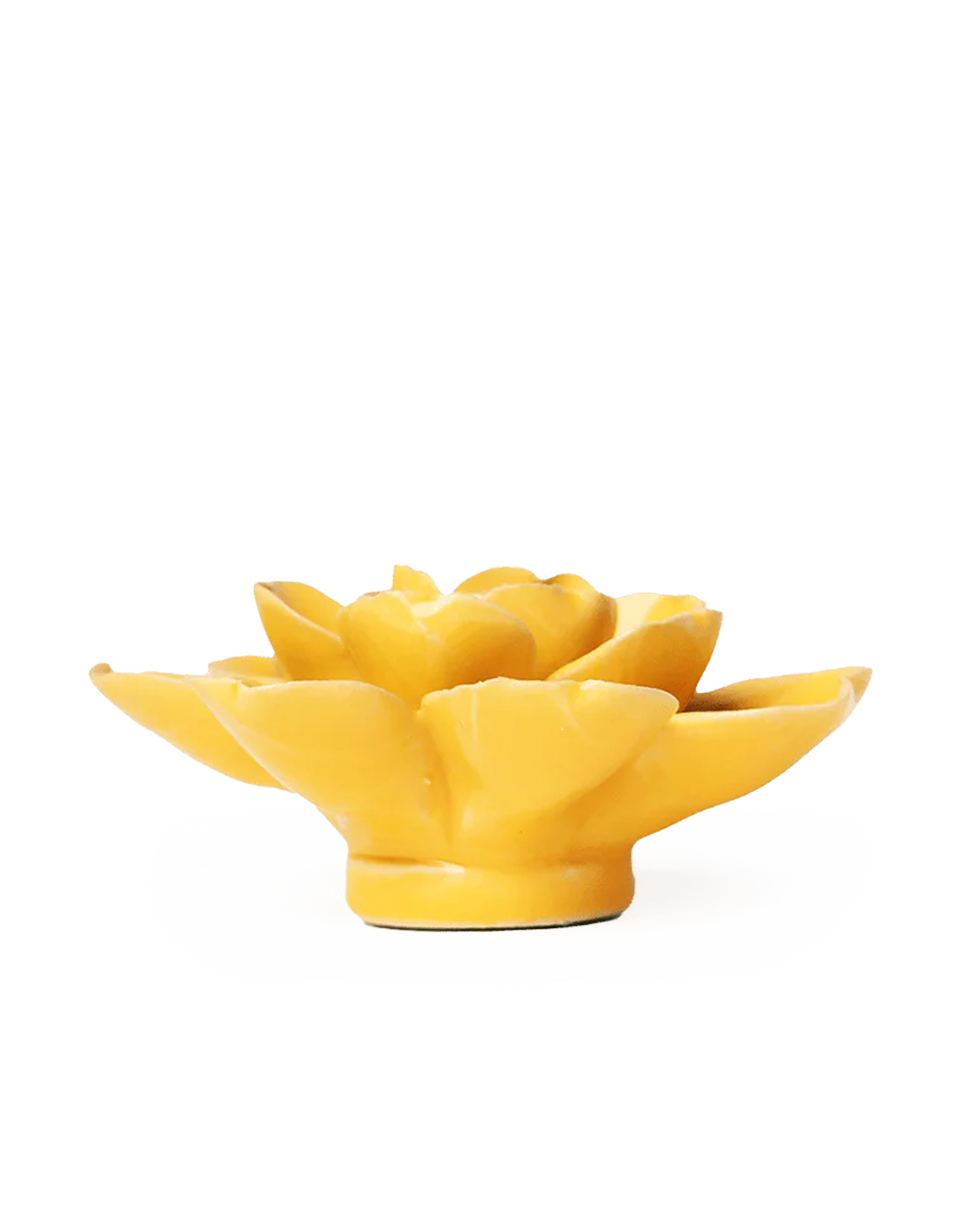 Burnt yellow Tahitian Gardenia ceramic wall flower — English Garden Collection — handmade by Chive Studio Toronto
