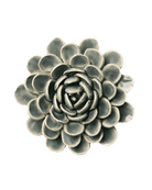 Pewter Blue - Zinderella Zinnia - handmade by Chive Studio Toronto