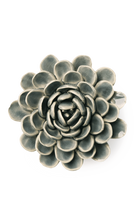 Pewter blue Zinderella Zinnia ceramic wall flower — English Garden Collection — handmade by Chive Studio Toronto
