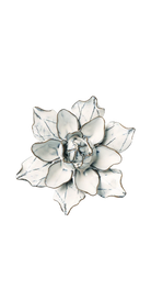 Blue White - Columbine - handmade by Chive Studio Toronto