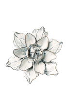 Blue White Columbine - Coastal Collection - handmade by Chive Studio Toronto