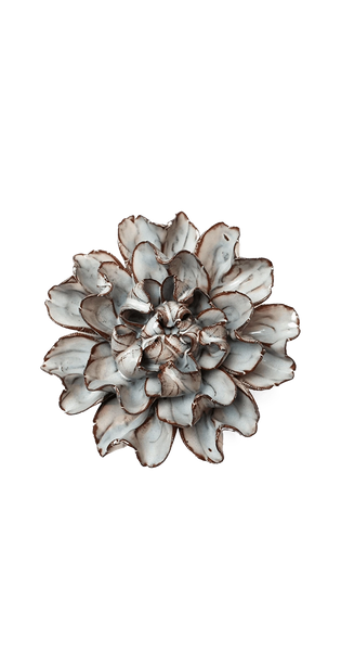 Lisianthus Meaning | Chocolate Mint Lisianthus | Chive
