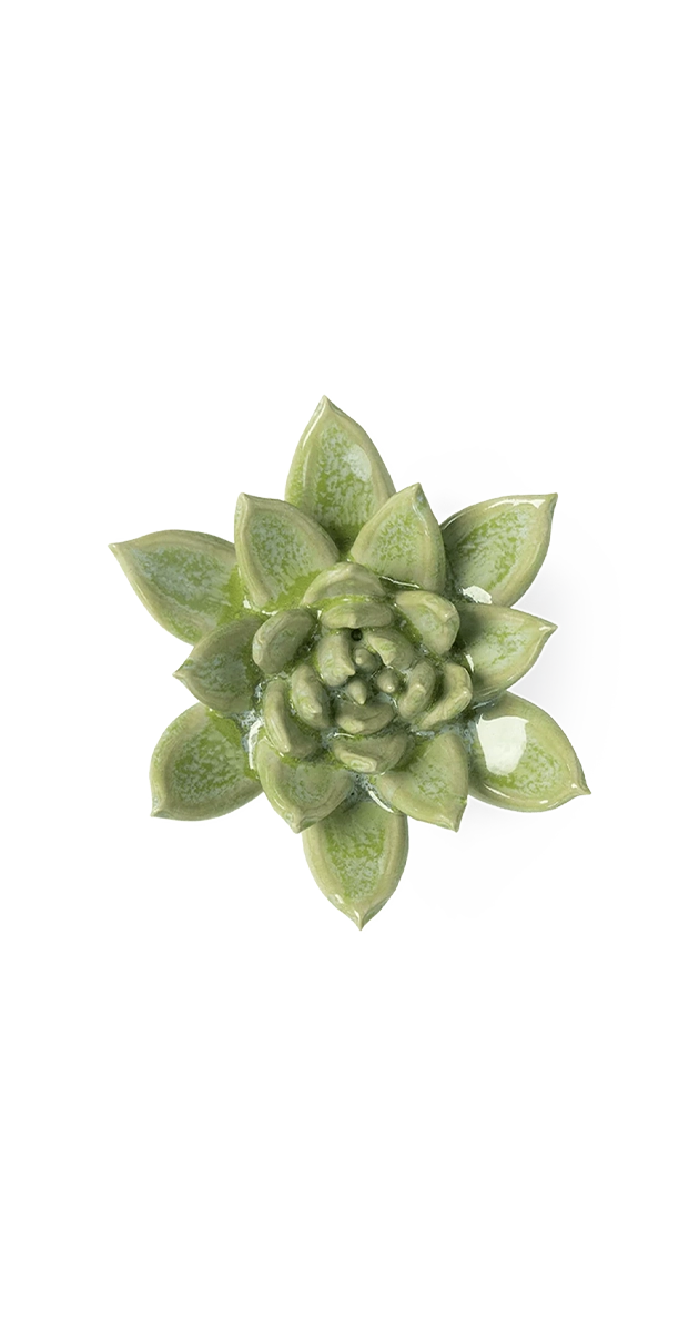 Pea Green - Ghost Succulent - handmade by Chive Studio Toronto