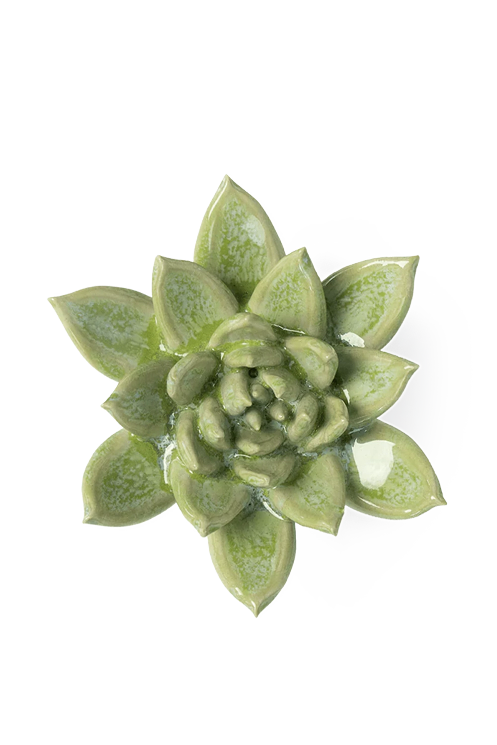 Pea Green Ghost Succulent - Japan Collection - handmade by Chive Studio Toronto