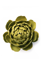 chartreuse Queen Protea ceramic wall flower — English Garden Collection — handmade by Chive Studio Toronto