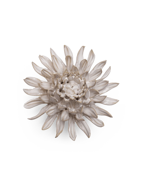 4.3-spidermum-ivory-1_grande.