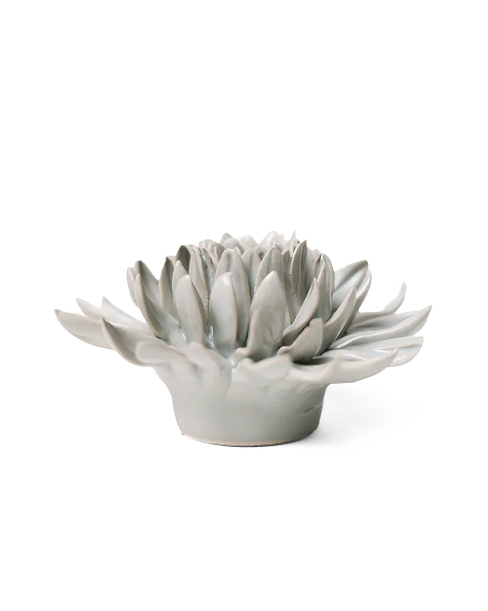 Panache Green Spider Mum ceramic wall flower — English Garden — handmade by Chive Studio Toronto