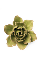 Peridot Stargazer Lily ceramic wall flower — English Garden Collection — handmade by Chive Studio Toronto