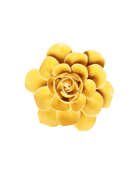 Burnt Yellow - Begonia - handmade by Chive Studio Toronto