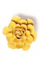 burnt yellow begonia ceramic wall flower — English Garden Collection — handmade by Chive Studio Toronto