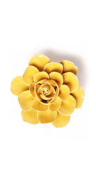 Burnt Yellow - Begonia - handmade by Chive Studio Toronto