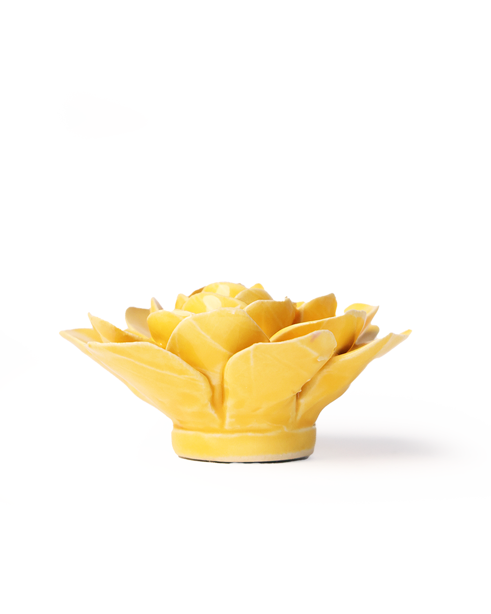 burnt yellow begonia ceramic wall flower — English Garden Collection — handmade by Chive Studio Toronto