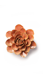 Peach Pink - Begonia - handmade by Chive Studio Toronto