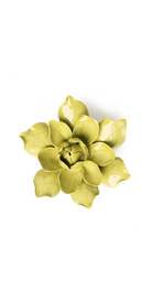 Chartreuse - Columbine - handmade by Chive Studio Toronto