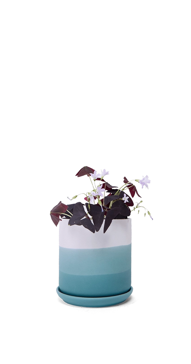 Blue Porcelain Planter with Drainage Hole and Saucer - Devo - handmade by Chive Studio Toronto