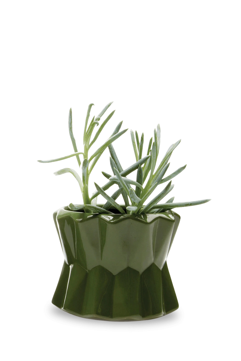 Army Green Ceramic Modern Planter for Succulents - Fang - handmade by Chive Studio Toronto