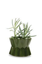 Army Green Ceramic Modern Planter for Succulents - Fang - handmade by Chive Studio Toronto