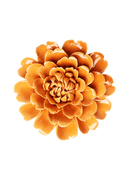Orange - Fiesta Marigold - handmade by Chive Studio Toronto