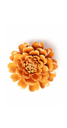 Orange - Fiesta Marigold - handmade by Chive Studio Toronto