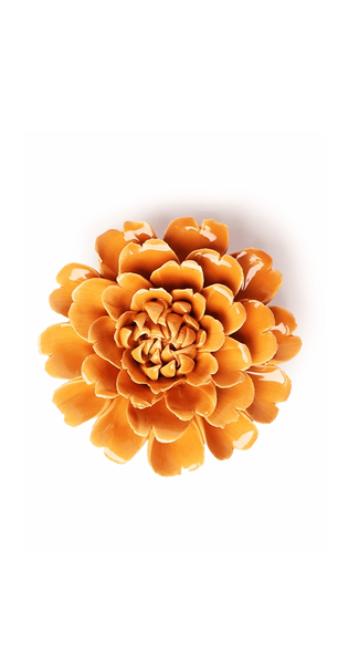 4.5-fiestamarigold-orange-