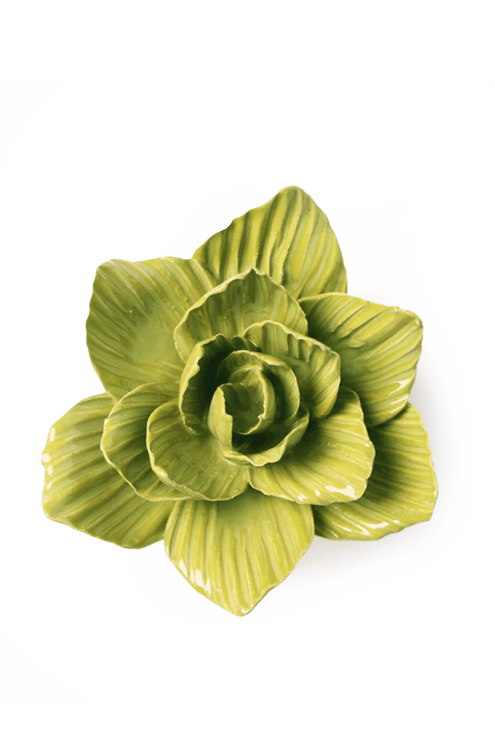 Chartreuse Gladiolus ceramic wall flower — English Garden Collection — handmade by Chive Studio Toronto
