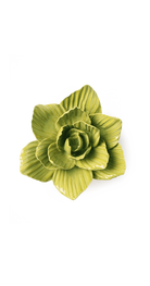 Chartreuse - Gladiolus - handmade by Chive Studio Toronto