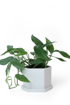White Porcelain Pot with Drainage Hole - Hexi - handmade by Chive Studio Toronto
