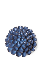 Blue Noir - Pompon Dahlia - handmade by Chive Studio Toronto