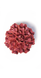 Blush Pink - Tundra Carnation - handmade by Chive Studio Toronto