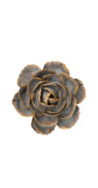Pale Blue - English Rose - handmade by Chive Studio Toronto