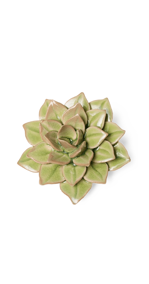 Peridot Green - Fairy Echeveria - handmade by Chive Studio Toronto