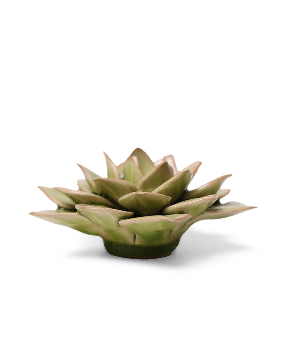 Peridot Echeveria ceramic wall flower  — English Garden collection — by Chive Studio