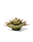 Peridot Echeveria ceramic wall flower  — English Garden collection — by Chive Studio