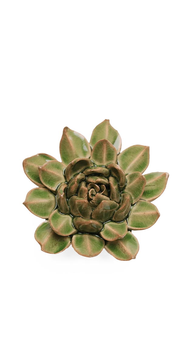 Avocado Green - Firecracker Succulent - handmade by Chive Studio Toronto