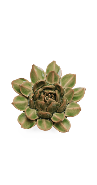 Avocado Succulent Ceramic Wall Flower | Chive